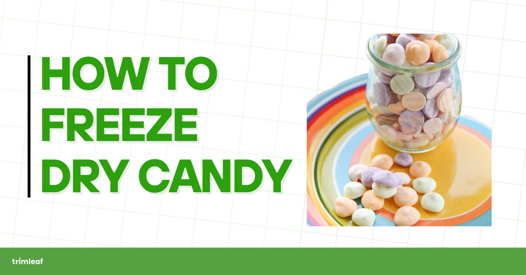 How to Freeze Dry Candy at Home