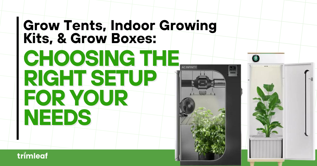 Grow Tents, Indoor Growing Kits, & Grow Boxes: Choosing the Right Setup for Your Needs