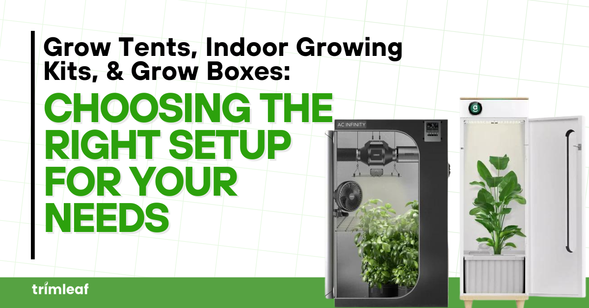 Grow Tents, Indoor Growing Kits, & Grow Boxes: Choosing the Right Setu