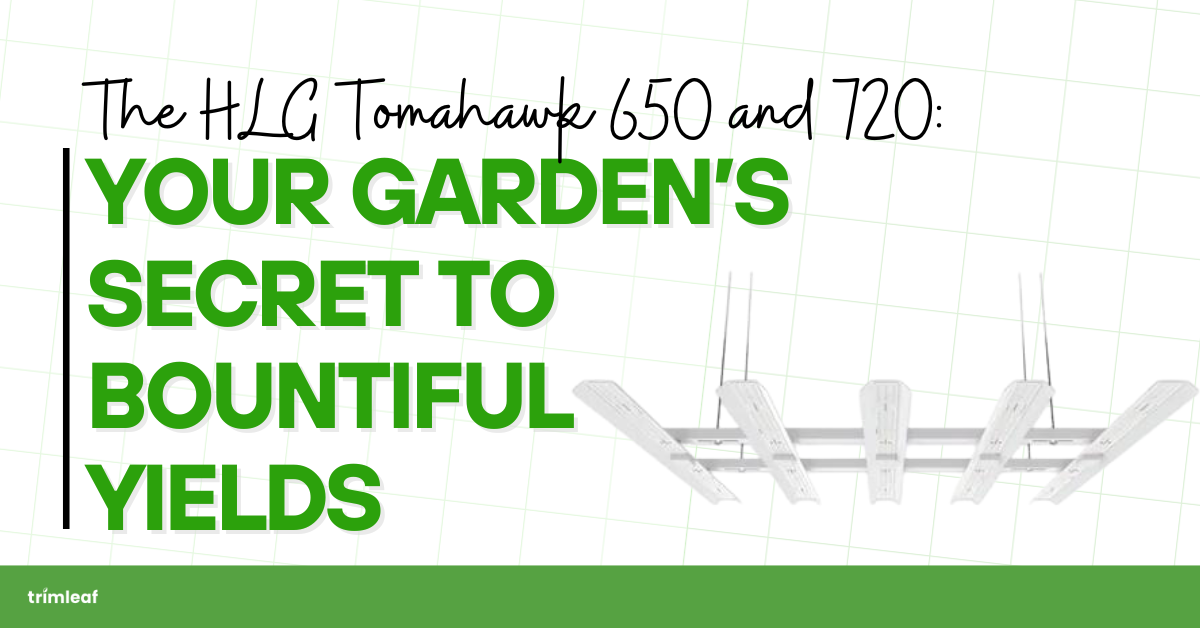 The HLG Tomahawk 650 and 720: Your Garden’s Secret to Bountiful Yields