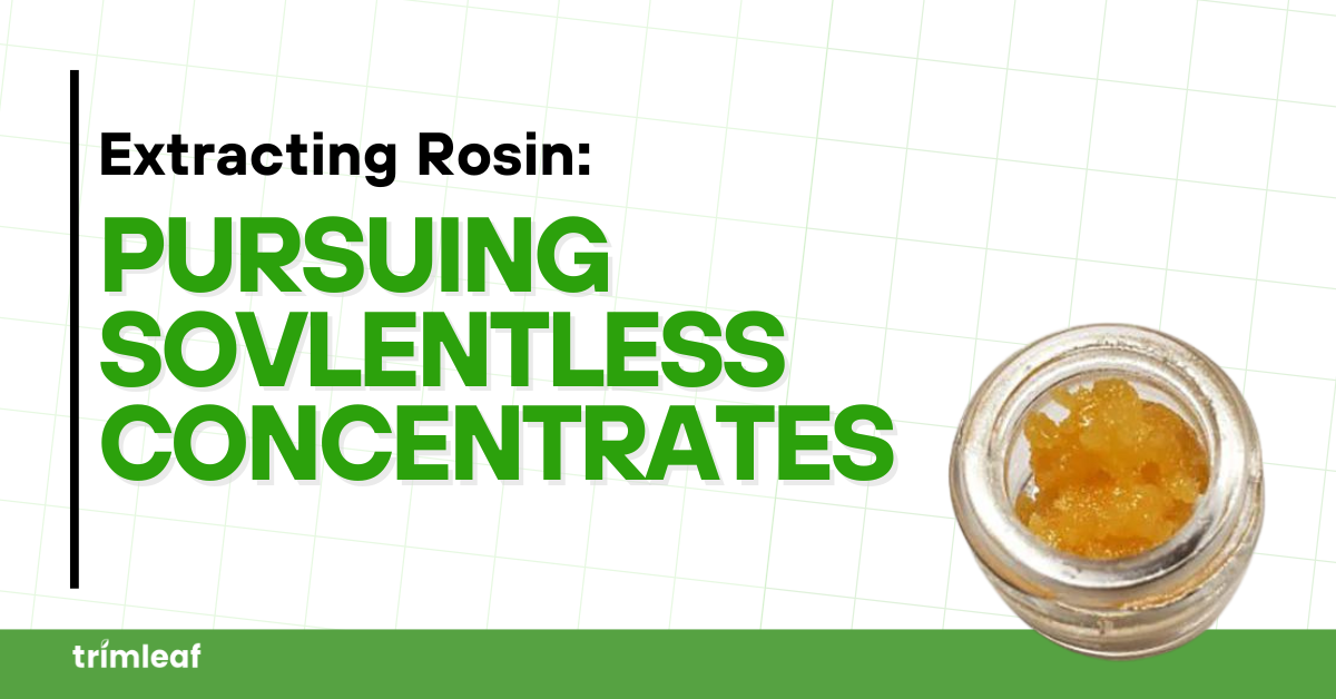 Extracting Rosin: Pursuing Sovlentless Concentrates
