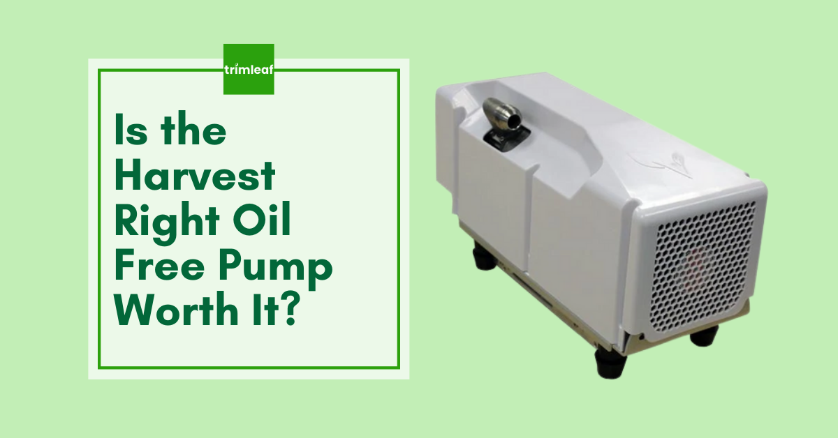Is the Harvest Right Oil Free Pump Worth It?