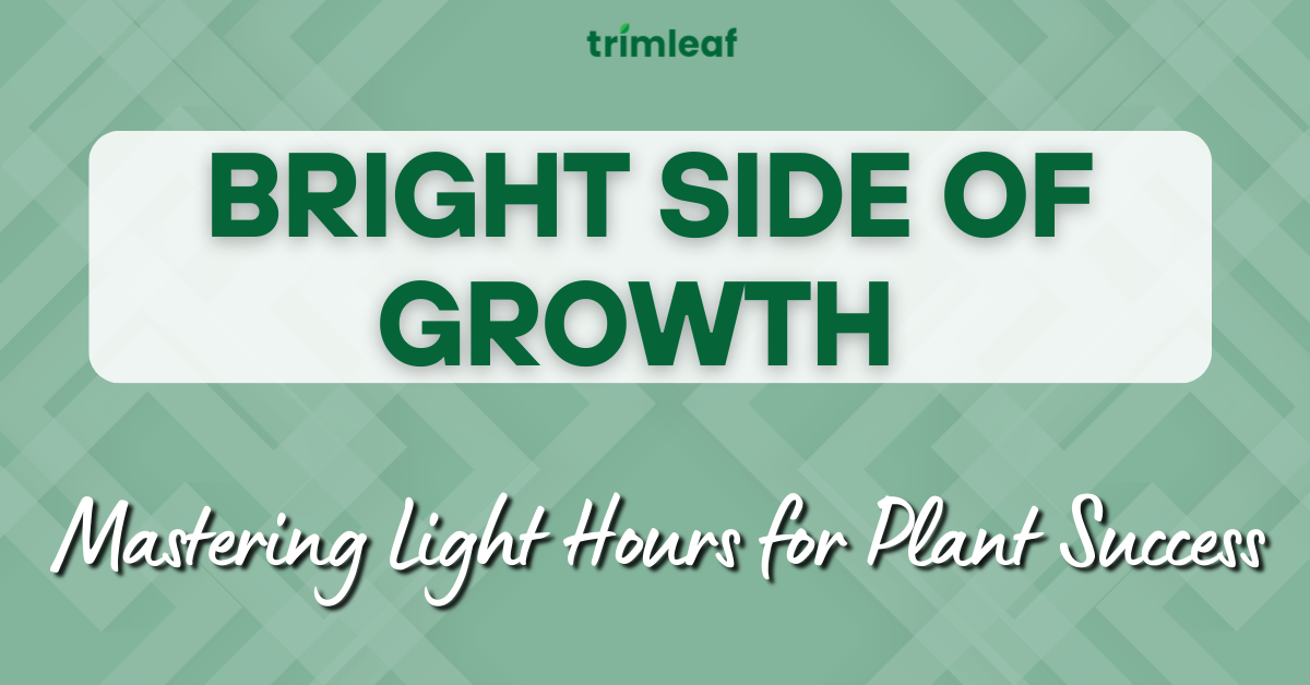 Bright Side of Growth Mastering Light Hours for Plant Success