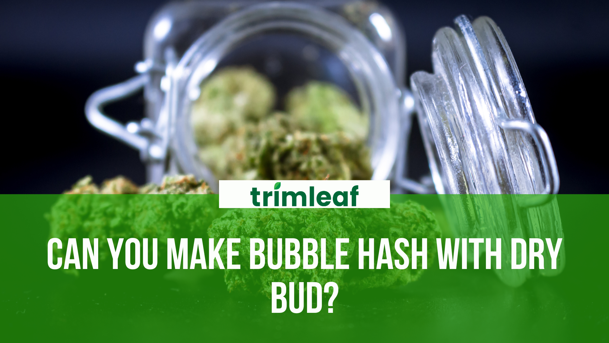 Can You Make Bubble Hash With Dry Bud?