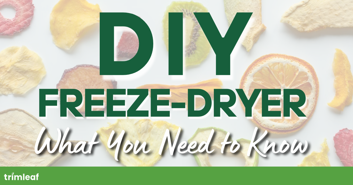 DIY Freeze-Dryer: What You Need to Know