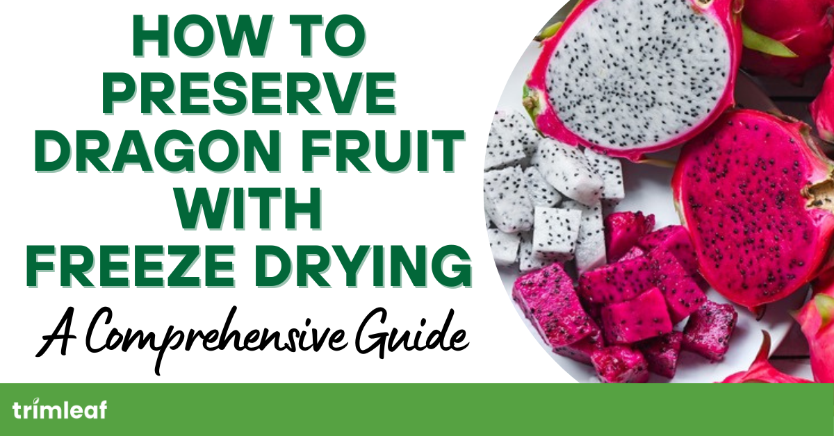 How to Preserve Dragon Fruit with Freeze Drying: A Comprehensive Guide