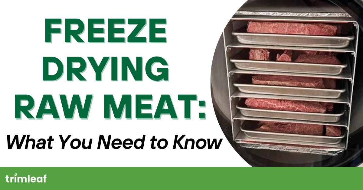 Freeze Drying Raw Meat: What You Need to Know