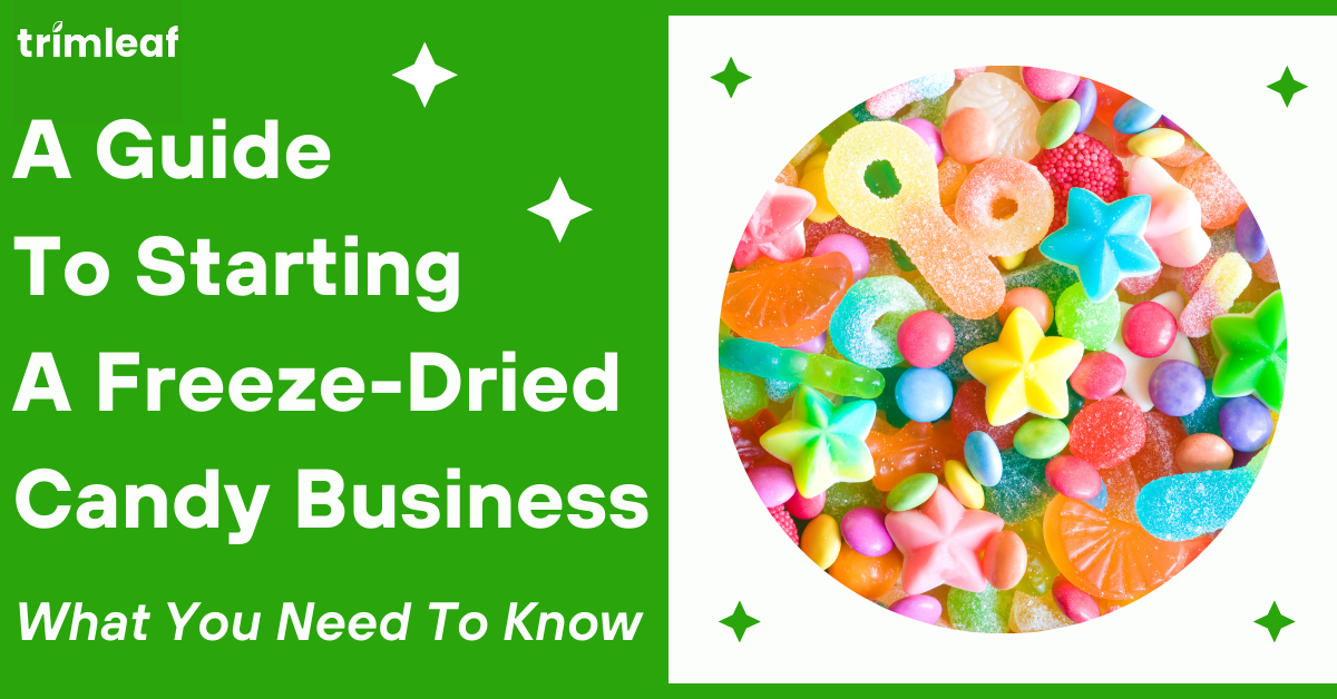 A Guide To Starting A Freeze-Dried Candy Business