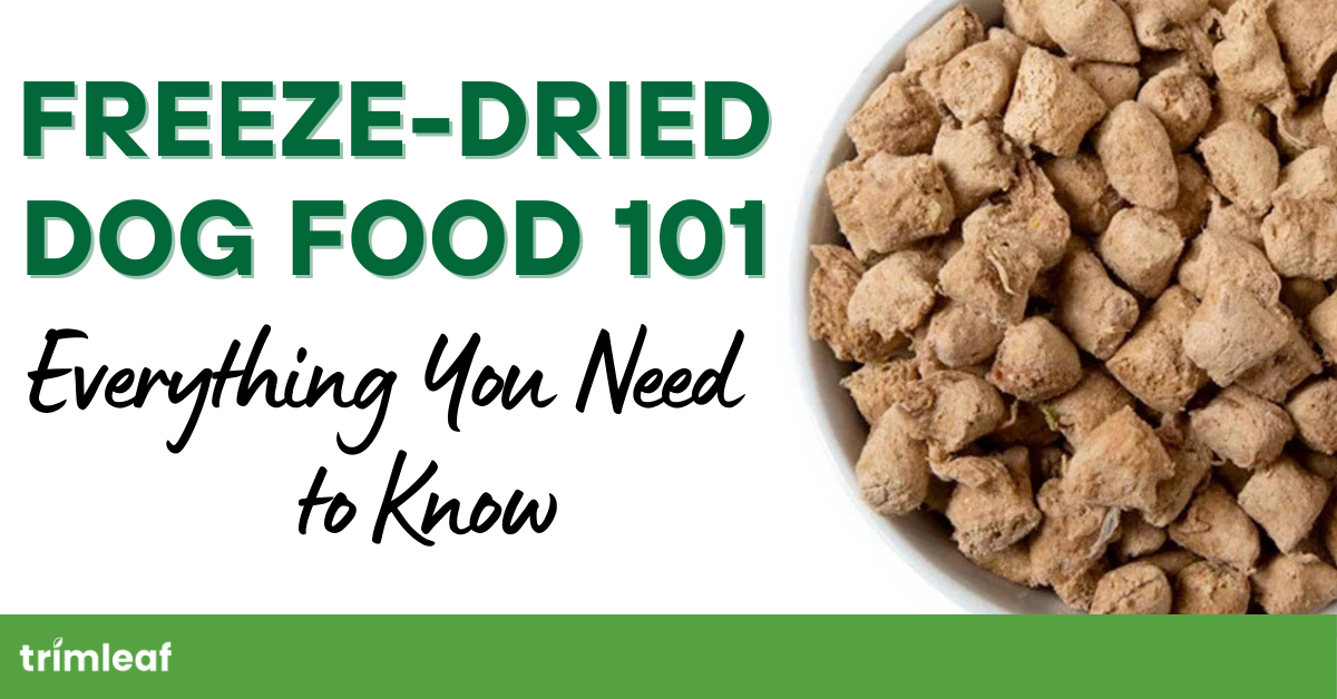 Freeze-Dried Dog Food 101: Everything You Need to Know