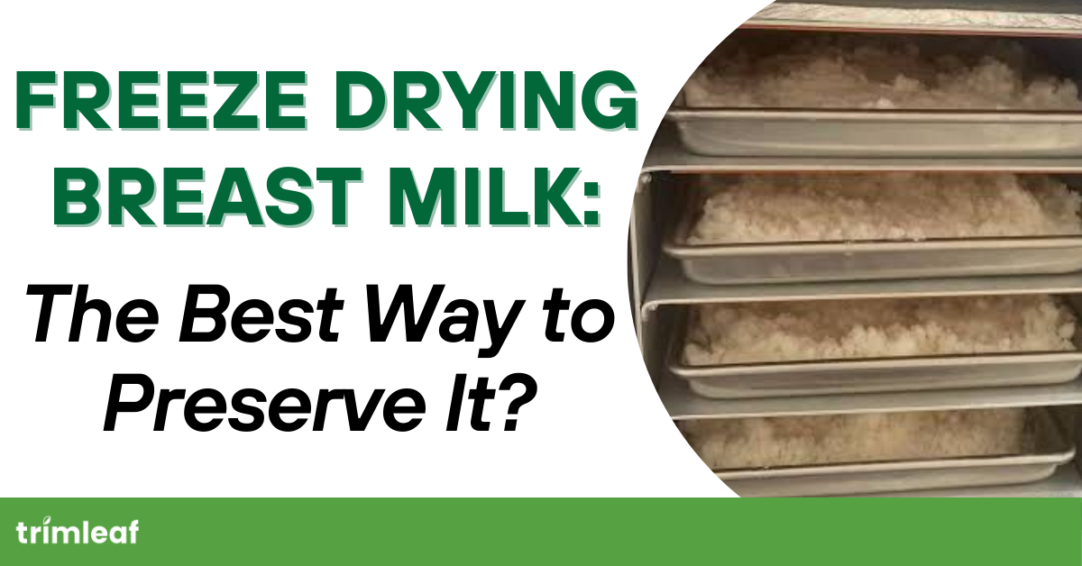 Freeze Drying Breast Milk: The Best Way to Preserve It?