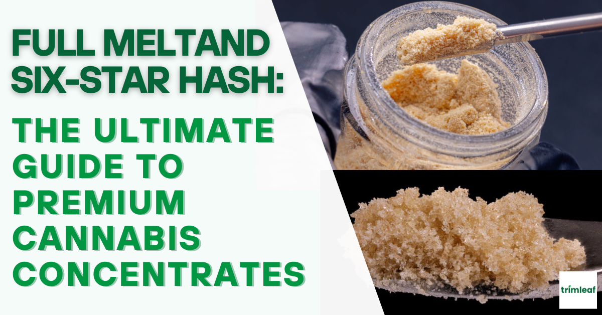 Full Melt and Six-Star Hash: The Ultimate Guide to Premium Cannabis Concentrates