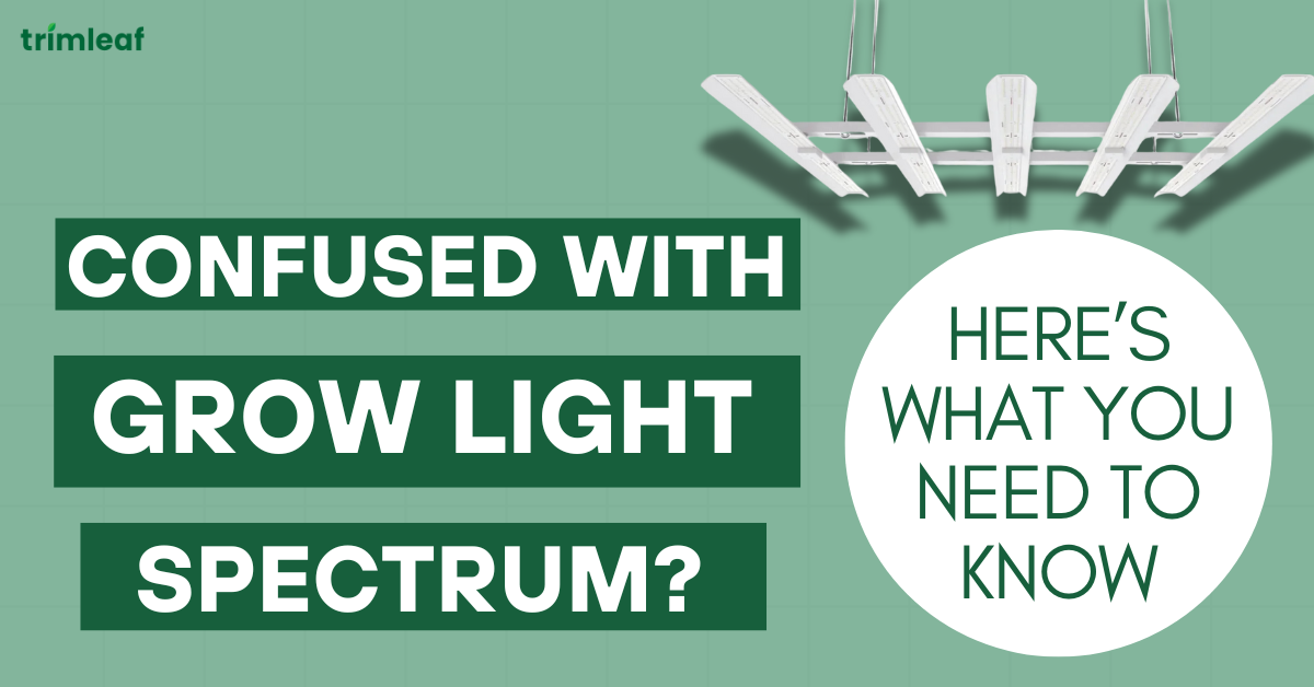 Confused with Grow Light Spectrum? Here’s what you need to know