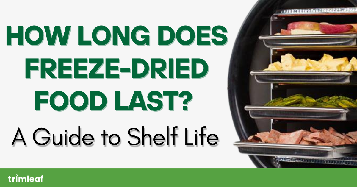 How Long Does Freeze-Dried Food Last A Guide to Shelf Life