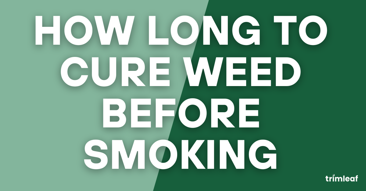 How Long to Cure Weed Before Smoking