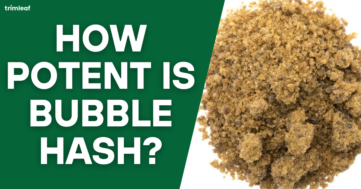 How Potent is Bubble Hash?