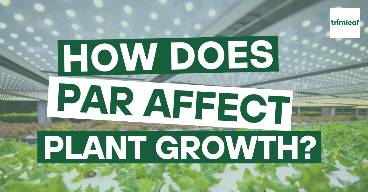 How does PAR affect Plant Growth