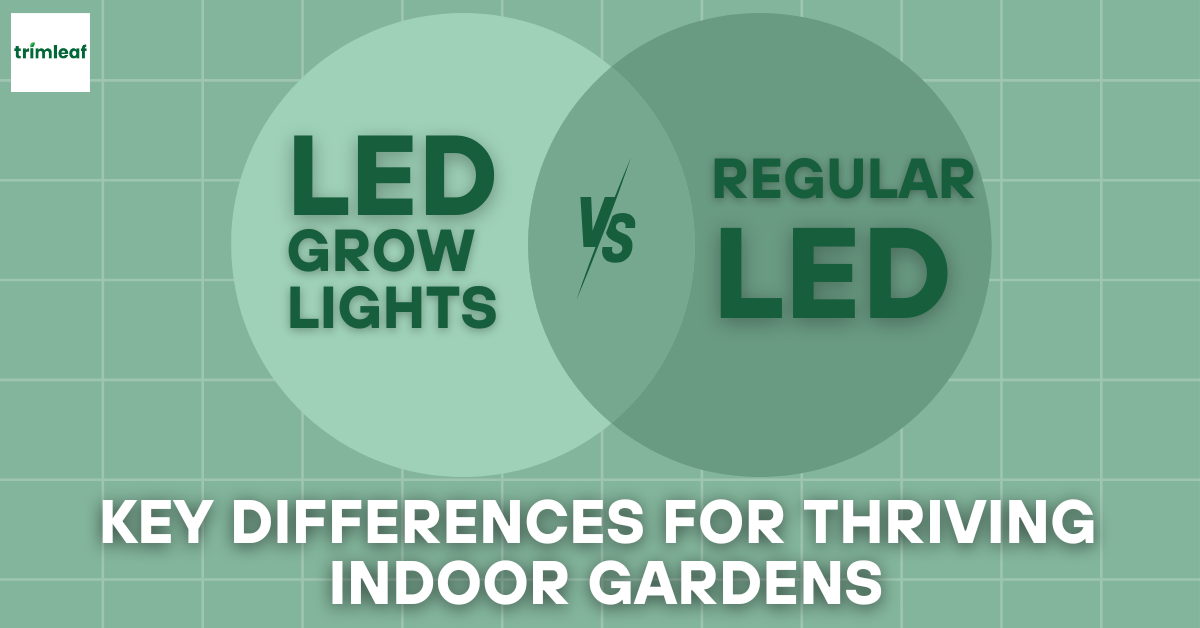LED Grow Lights vs. Regular LEDs Key Differences for Thriving Indoor Gardens
