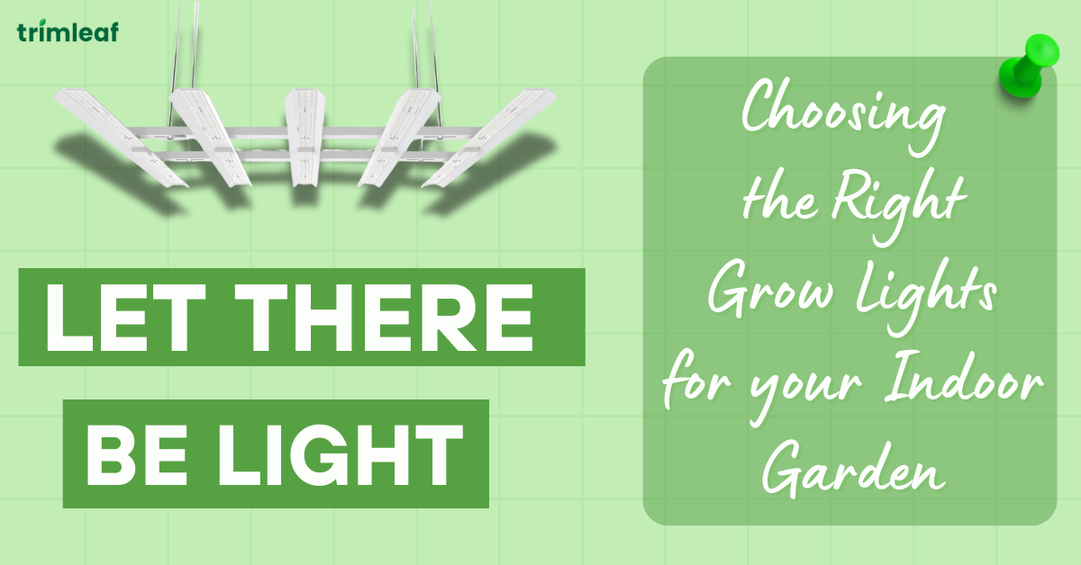Let There Be Light Choosing the Right Grow Lights for Your Indoor Garden