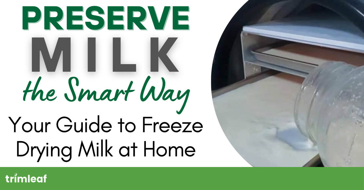 Preserve Milk the Smart Way: Your Guide to Freeze Drying Milk at Home