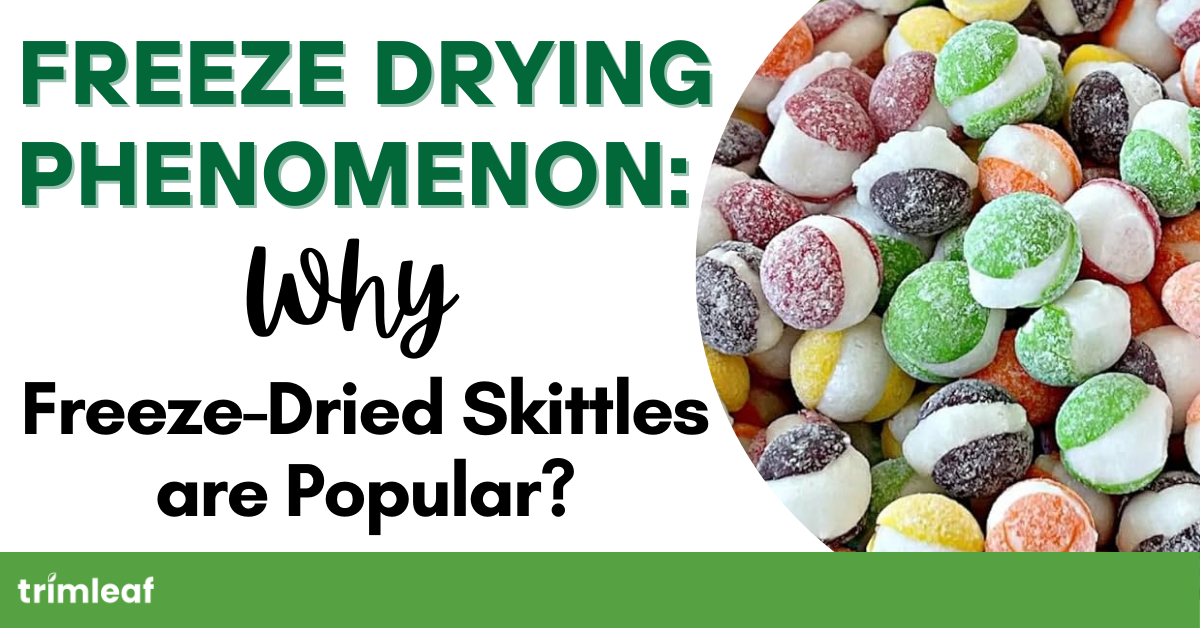 Freeze Drying Phenomenon: Why Freeze-Dried Skittles are Popular