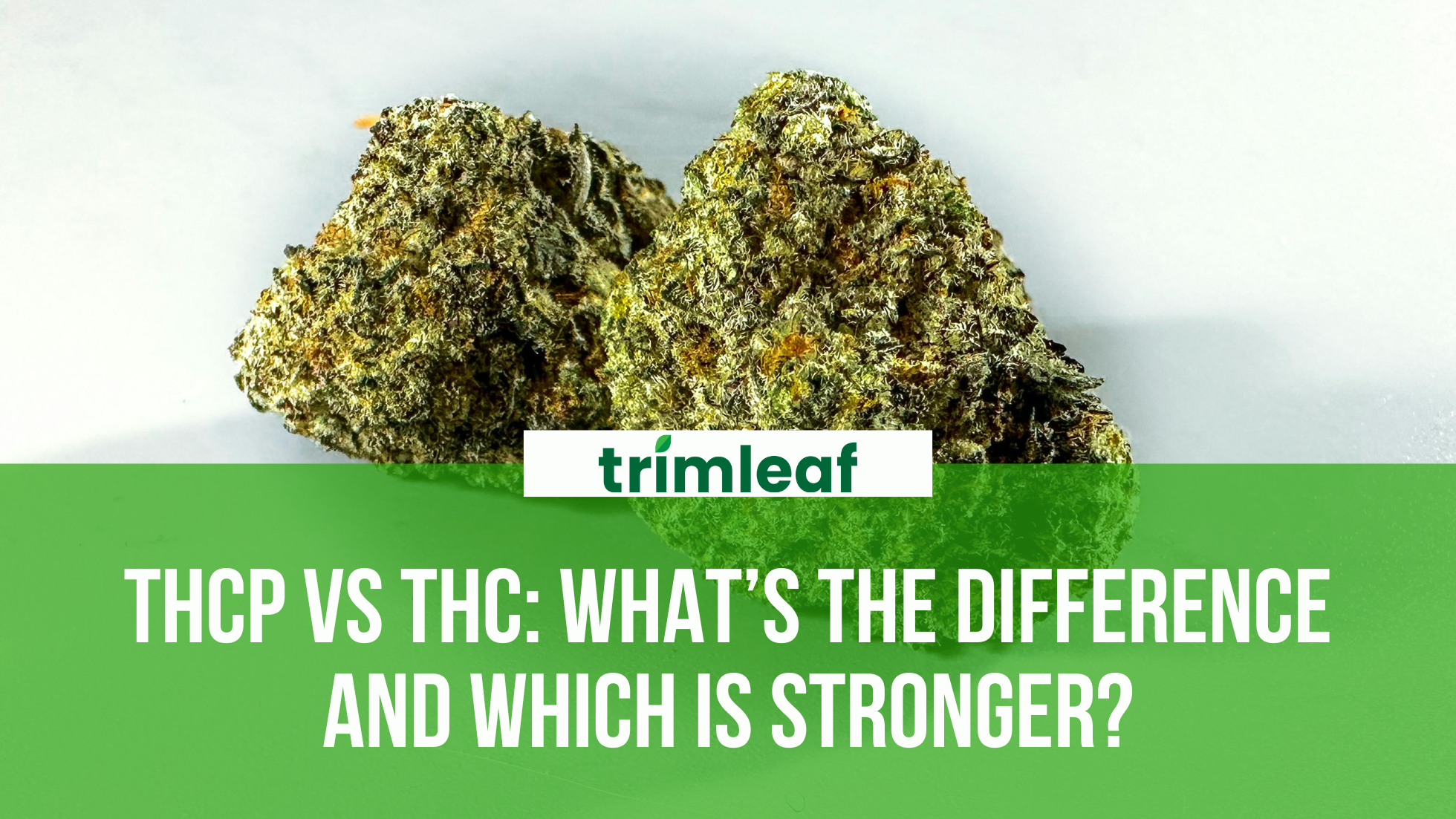 THCP vs THC: What’s the Difference and Which Is Stronger?