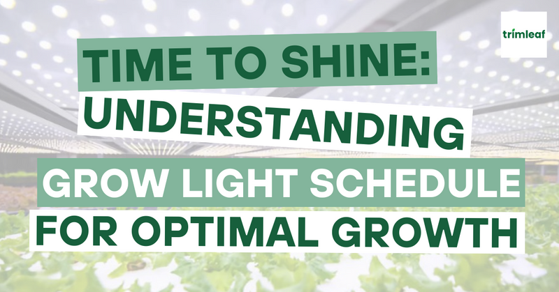 Time to Shine: Understanding Grow Light Schedule for Optimal Growth