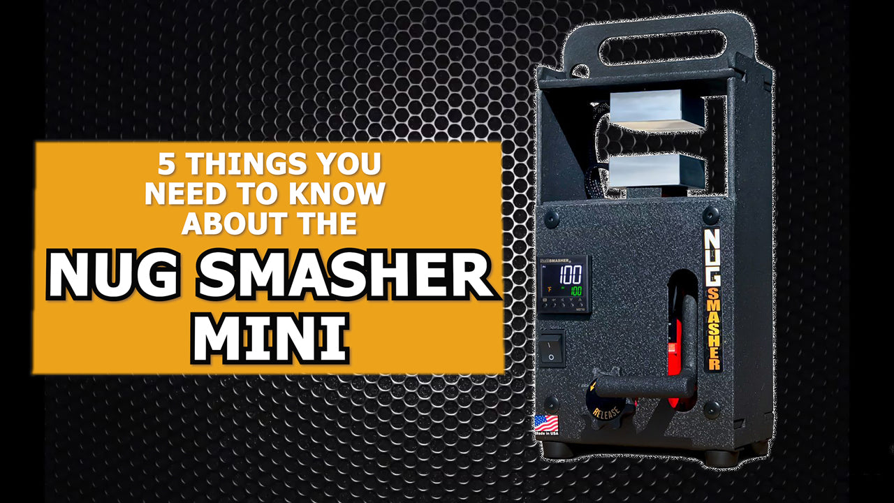 5 Things You Need to Know About the NugSmasher Mini