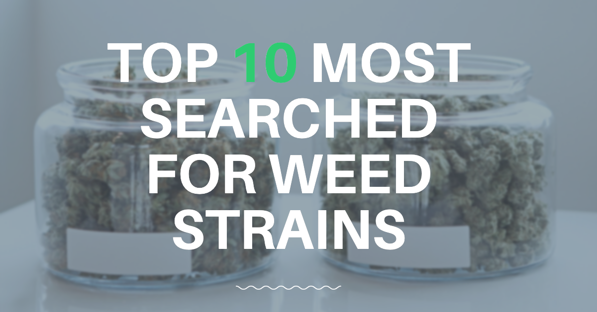 Top 10 Most Searched for Weed Strains