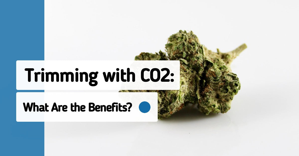 Trimming With CO2: What Are the Benefits?