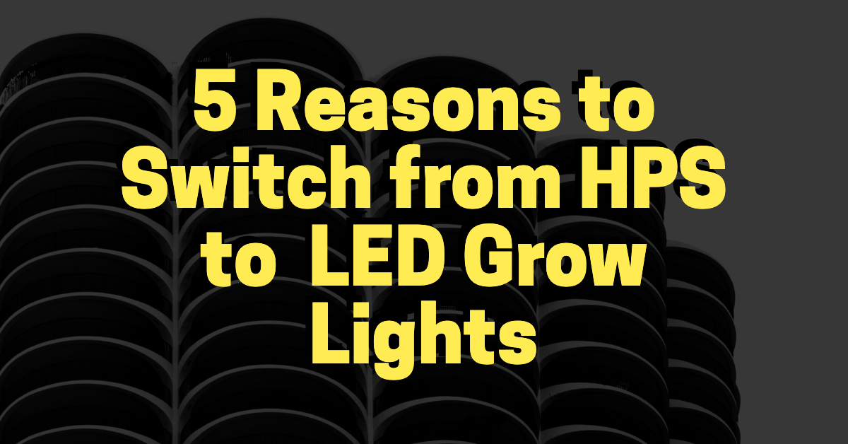 5 Reasons to Switch From HPS to LED