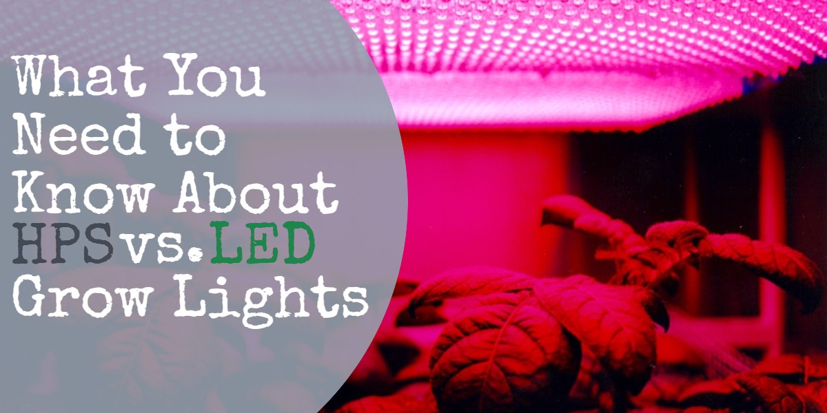 What You Need to Know About HPS vs. LED Grow Lights