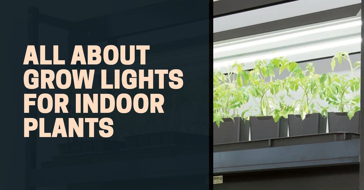 Indoor horticulture lighting deals