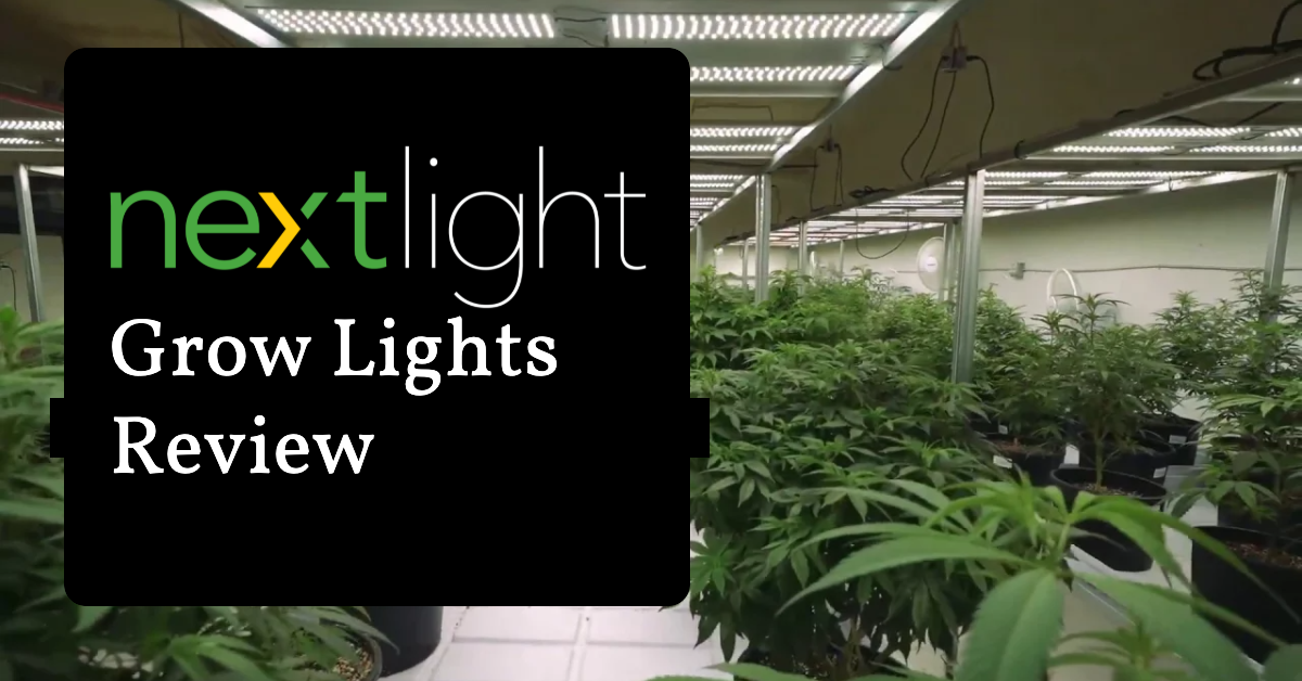 NextLight Grow Lights Review