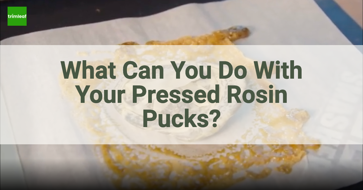 What Can You Do With Your Pressed Rosin Pucks?
