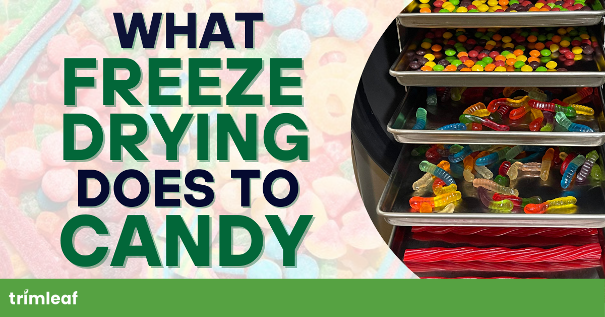 What Freeze Drying Does to Candy