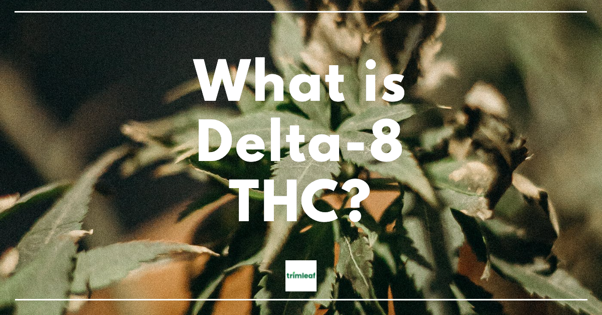 What is Delta-8 THC?