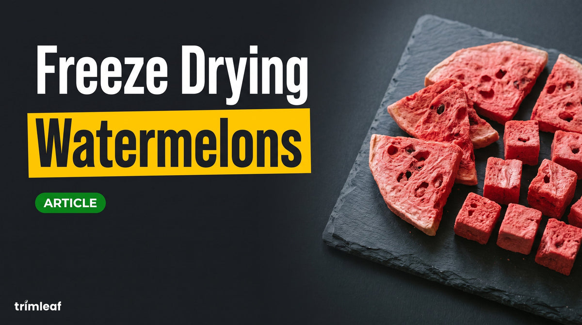 Cover image for "Freeze Drying Watermelons": Trimleaf blog