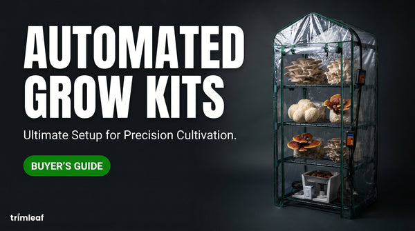 Cover image for "Automated Grow Kits": Trimleaf blog