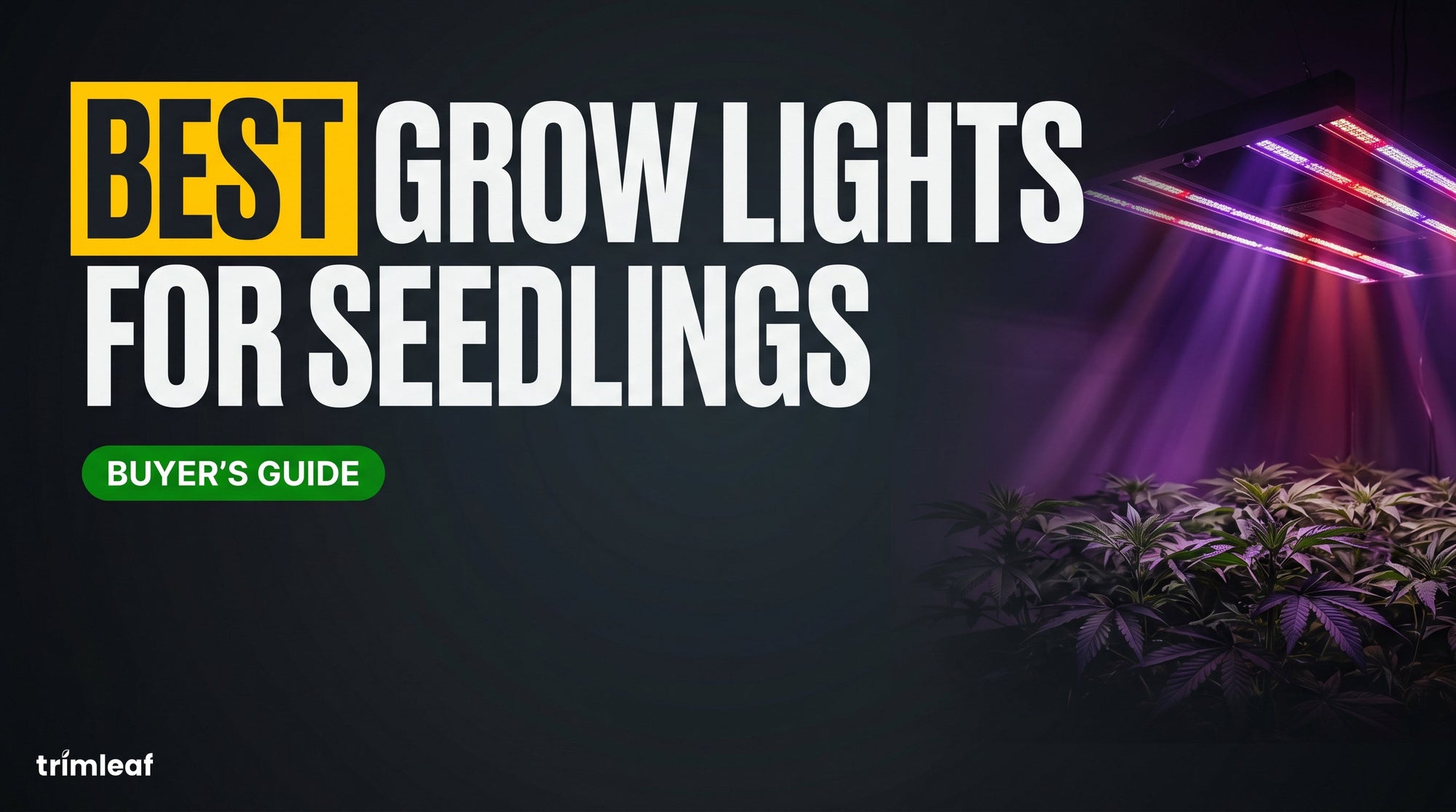 Cover image for "Best Grow Lights for Seedlings": Trimleaf blog