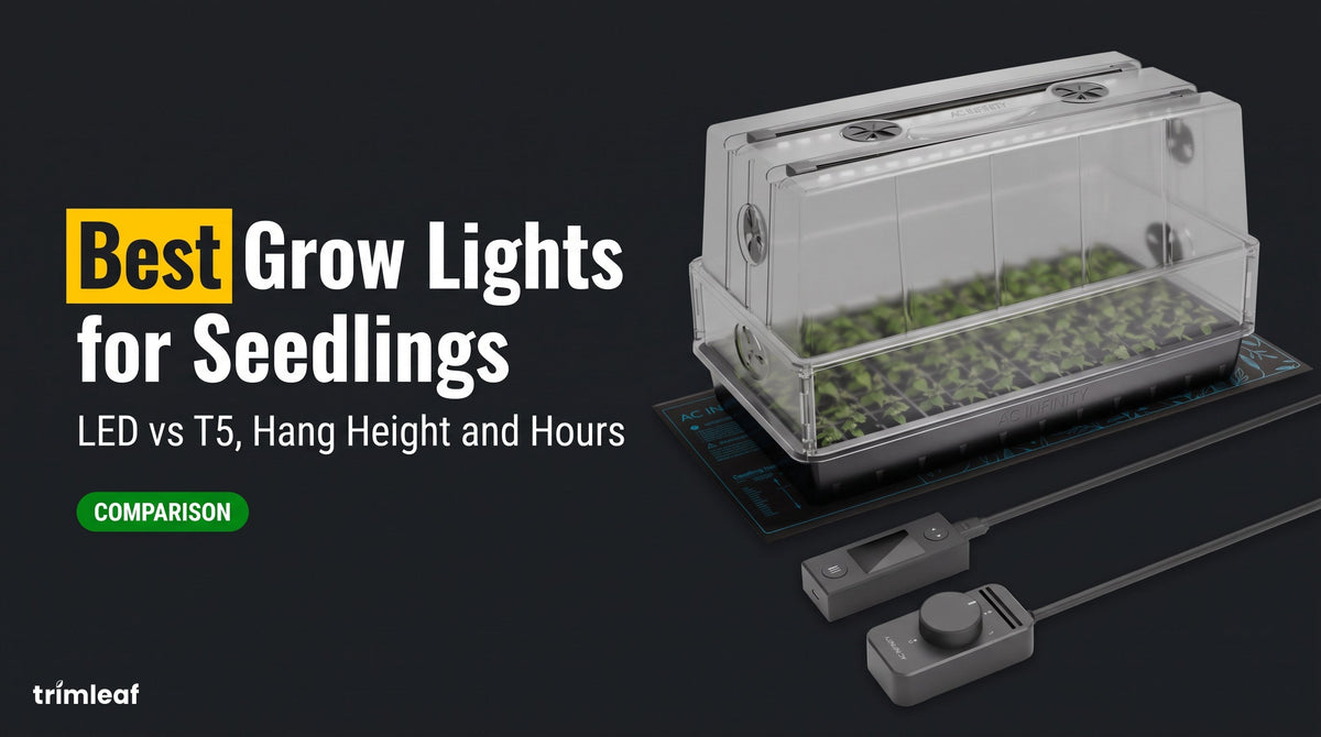Cover image for "Best Grow Lights for Seedlings: LED vs T5, Hang Height and Hours": Trimleaf blog