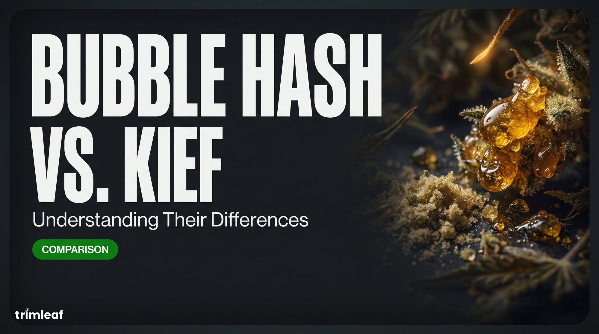 Bubble Hash vs. Kief: Understanding Their Differences