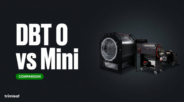 Cover image for "DBT 0 vs Mini": Trimleaf blog