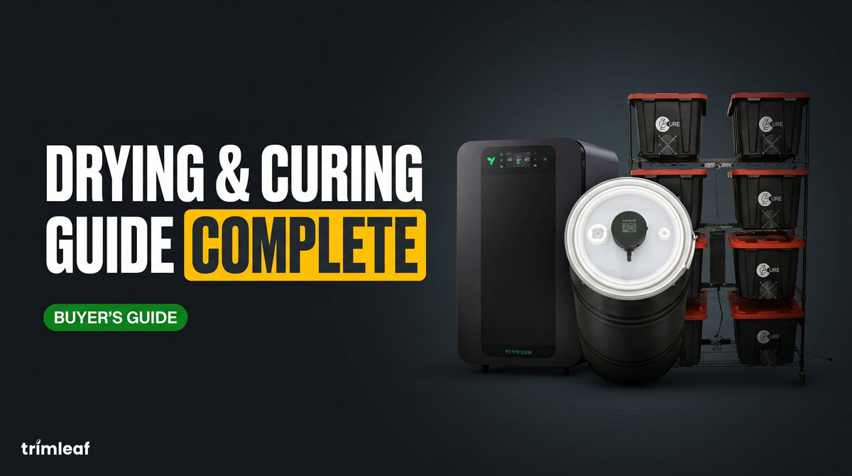 Cover image for "How to Cure Weed: Jar Curing, Burping, and Humidity Targets": Trimleaf blog