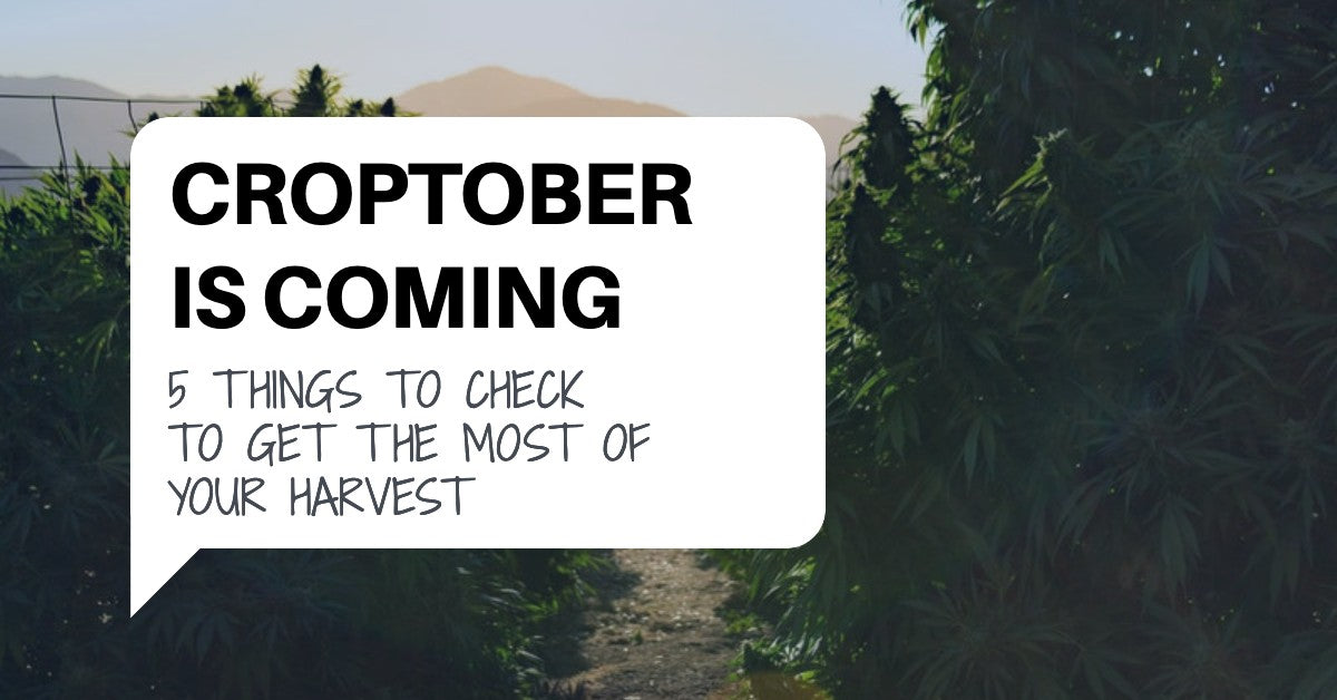 Croptober Is Coming: Five Things To Check To Get The Most Of Your Harvest.