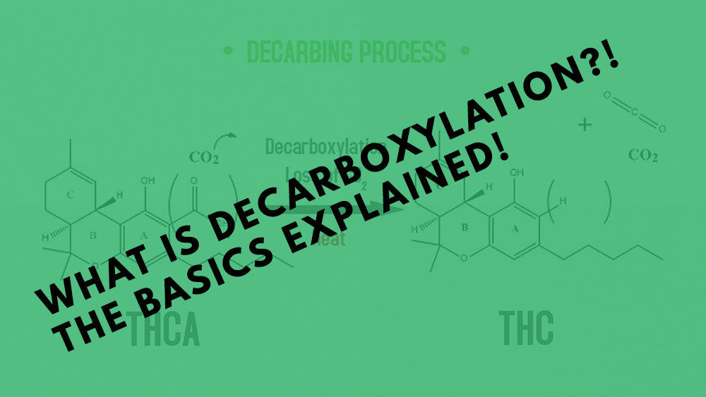 What Is Decarboxylation?! The Basics Explained