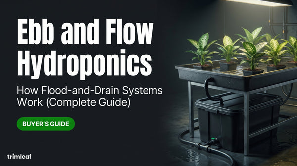 Cover image for "Ebb and Flow Hydroponics: How Flood-and-Drain Systems Work (Complete Guide)": Trimleaf blog