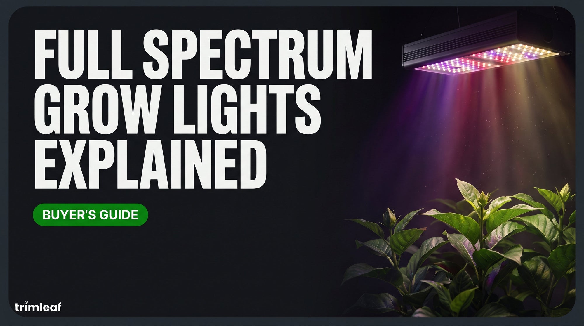 Cover image for "Full Spectrum Grow Lights Explained": Trimleaf blog