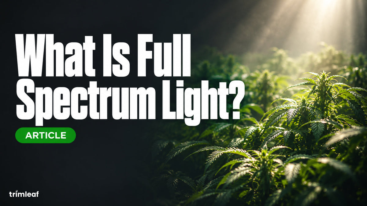 Cover image for "What Is Full Spectrum Light?": Trimleaf blog