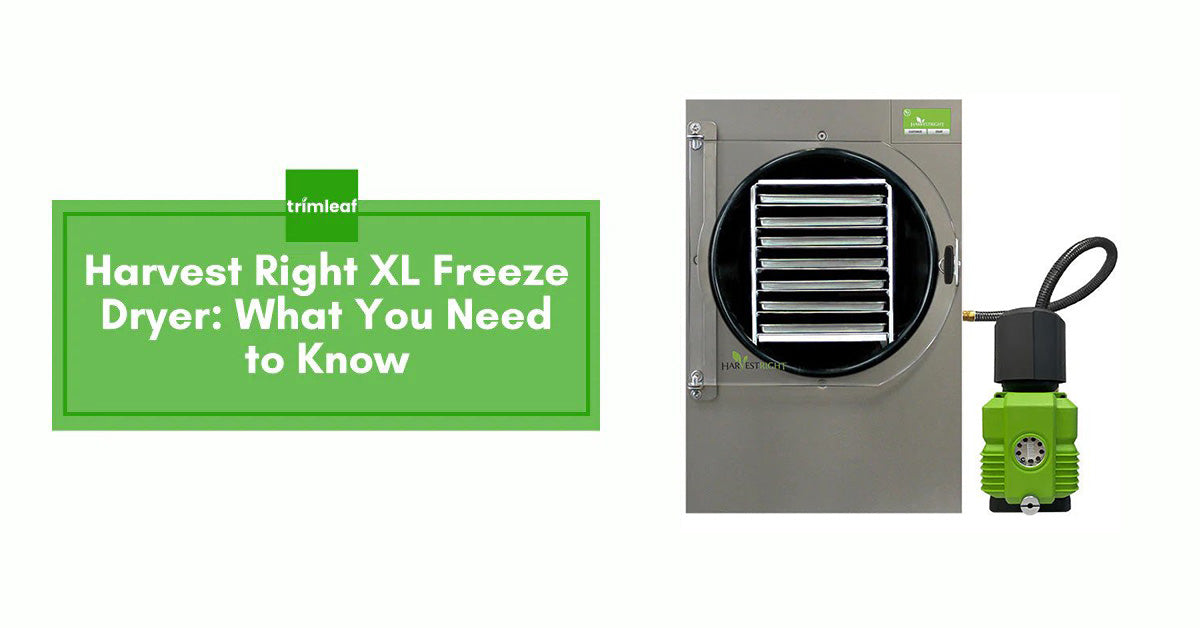 Harvest Right XL Freeze Dryer: What You Need to Know