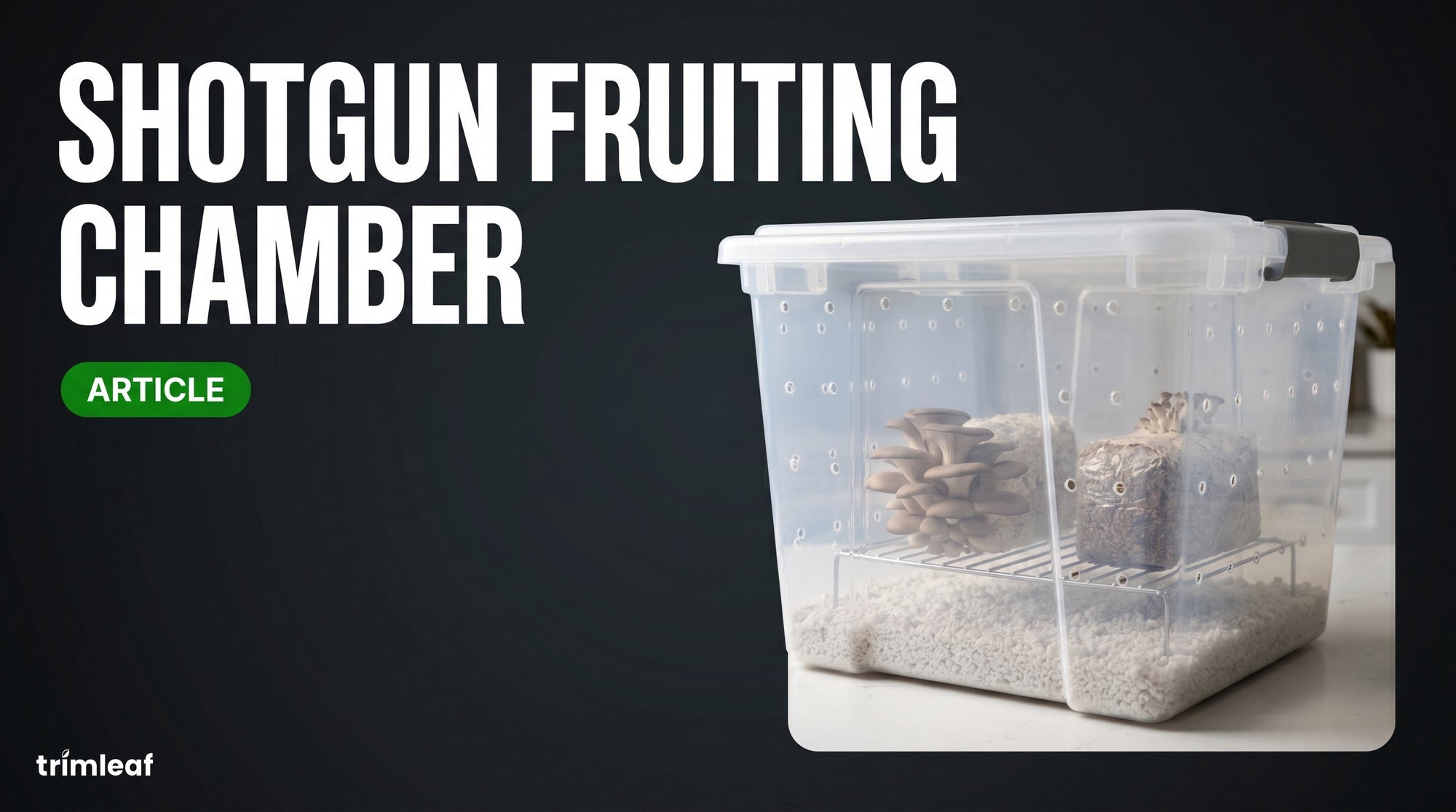 Cover image for "Shotgun Fruiting Chamber": Trimleaf blog